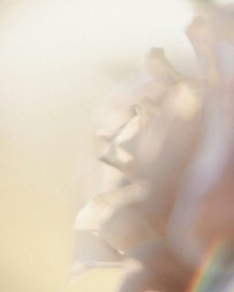 I FORGIVE MYSELF FOR WHO I WAS IN SURVIVAL MODE ♥️