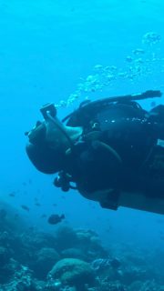 POV: You found a new passion 🧜🏽‍♀️🧜🏽‍♀️

Turns out sometimes the things that bring us the most joy also bring us closer to ourselves 😮‍💨😌

My mum recently reminded me that being in, under or on top of water has always meant being in my element.

And somehow somewhere seems like I lost that connection. 

I guess we don’t always lose the things that are part of us. Sometimes we just forget, until something brings us back…

Wuhuuu, feels like I’m finding my way back to my element… 🌊

Or maybe I was just meant to be a mermaid all the time 😅🧜🏽‍♀️

#divingbali #activemeditation #nusalembongan #baliparadise #passionforlife