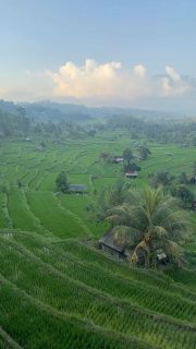 Bali is so much more than hyped restaurants, fancy matcha lattes, aesthetic cafés, beach clubs, villa pools, sunset spots and the never-ending stream of tourists.

It’s the woman making offerings outside her little warung every morning, the smell of incense on the streets, ceremonies that stop traffic, farmers working in rice fields, gamelan in the distance, temples hidden between houses, the jungle, the ocean, the tiny roads, the dogs wandering around, the heartfelt smiles & unexpected conversations.

And the things you simply cannot put into a guidebook!

🤔You think you know Bali because you’ve been to Ubud, Canggu and Uluwatu?
There is so much more.

I wish people could see beyond what the outside world has projected onto Bali… & what we’ve slowly made it into.

Some of what you see and hear is real. And sad. Yes. It’s also the reality we can’t bypass.

But so much is also a version of Bali that has been created, packaged and sold to us.

Lately I’ve had conversations with locals who, with tears in their eyes, tell me they’re afraid tourists won’t come at all anymore because of the picture that has been created of Bali.
And that makes my heart hurt too.

Like everything in life, there are two sides to the coin.

🙋🏻‍♀️ And I’m not saying any of this while sitting outside of it. I love the beautiful cafés, good matcha, nice spots & all the little things that make life here so enjoyable too.

I just don’t want one side to make us forget the other. I think there is space for both.
To enjoy what Bali has become while also remembering & making space for what was already here. ❤️

Maybe what this island needs from us is not simply more tourists… but conscious, respectful ones!!
⁉️ I’m also in research to support something serious here (so if you know & have contacts or even an own project please DM me!)

People who come with curiosity. Who respect the land, spend time beyond the obvious places, listen, and see the people behind the destination.

More in the comments ⬇️