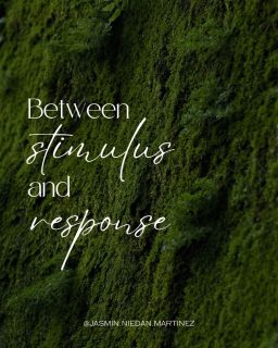 One of my favorite quotes says:

“Between stimulus and response there is a space. In that space is our power to choose our response. In our response lies our growth and our freedom.”

🙋🏻‍♀️ For more than a decade I thought personal growth meant becoming a different person.
Less emotional. Less reactive. More “together”… 

Now I see it differently.
Growth is not the absence of reaction.
It’s becoming aware of what is happening inside us before the reaction completely takes over!

That moment when we notice the tightening in the body, the urge to defend, the impulse to run, the desire to control.

And instead of immediately acting from it...
we stayyyy.
Just for a breath.
Just for a moment.
Often that tiny space is where everything begins to change. 💫

Not because we become perfect.
But because we become a little more free. 🕊️

#simplyhuman #responseoverreaction #consciousbreath #mindfulnesstips #innerpeace