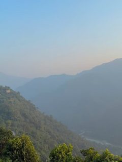 Chaos as medicine 🙇🏻‍♀️ 

India doesn’t let you stay in your head.

The colors are too bright, the sounds too close, the smells too alive. At first it feels overwhelming. 
Like sensory overload in the best and worst way.

But then something changes very drastically… 
You stop resisting it. 
You stop trying to make sense of it all.
And suddenly the chaos becomes the medicine.

It pulls you out of your thoughts and into your senses. Into the actual moment that’s happening right in front of you.

I think that’s what I keep coming back for.

Not only the temples or the history or even the beauty.

But the way this place refuses to let me disappear into my mind. 
Constantly connected with my open heart.

It keeps me here. 
Alive. Awake.

#india #chaos #presence #sensoryoverload #alive #awakening #medicine #inthemoment #overwhelm #surrender #whyitravel #whensoulsalign